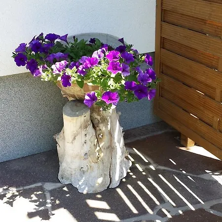 Zugspitztraum * 埃尔瓦尔德