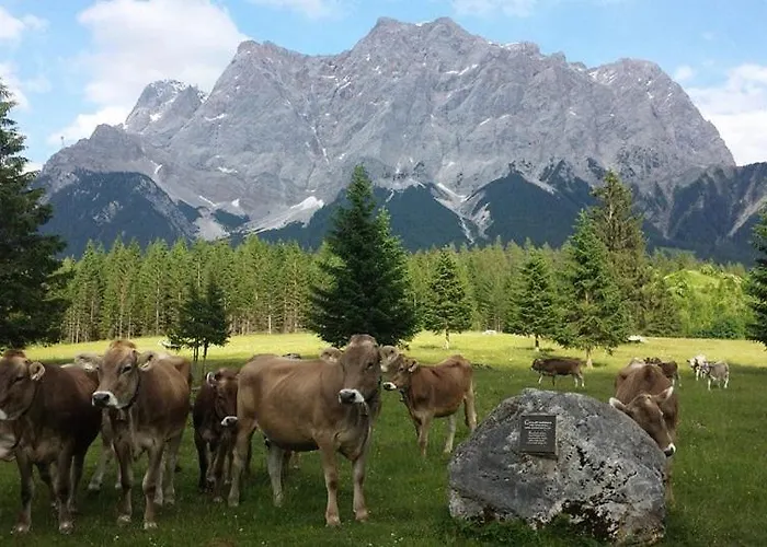 Lägenhet Zugspitztraum